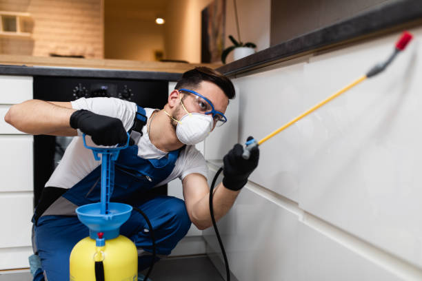 Professional Pest Control in Mancos, CO