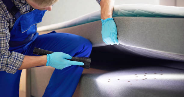 Best Best Pest Control Companies  in Mans, CO