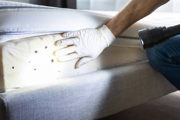Best Affordable Pest Control Services  in Mans, CO